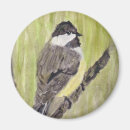 Search for capped chickadee magnets Wildlife