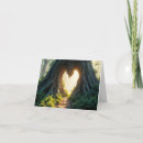 Search for tree trunk cards Forest