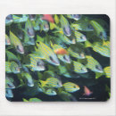 Search for fish school mouse mats People