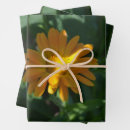 Search for marigold wrapping paper Botanical