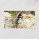 Search for lizard business cards Animal