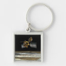 Search for orbital key rings Orbiter