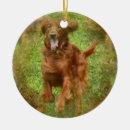 Search for irish setter christmas tree decorations Dogs