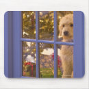Search for anticipation mouse mats Full length