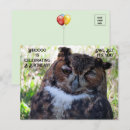 Search for owl photography Great horned owl