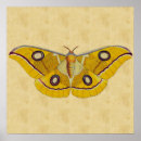 Search for vintage moth posters Insect