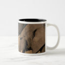 Search for tusk mugs Environment