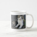 Search for kitten playing mugs Kitty