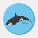 Search for killer magnets Orcinus orca