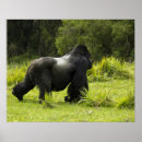 Search for mcdonald art Primate