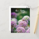 Search for garlic postcards Photograph