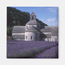 Search for abbey magnets Paul thompson