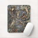Search for vintage frogs mouse mats Dark academia