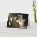 Search for in the laundry cards Pet