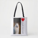 Search for spitz Japanese spitz