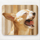 Search for laughing mouse mats Dog