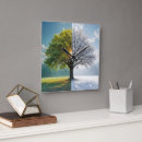 Search for oak clocks Snow