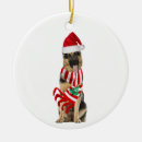 Search for german shepherd decor Santa
