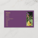 Search for irises photography Nature