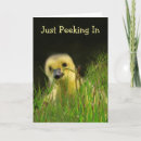 Search for spiritual comfort cards Encouragement