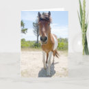 Search for ponies cards Animals