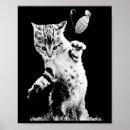 Search for funny kitty cat posters Kitties