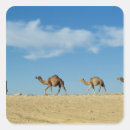 Search for desert camel stickers Animal