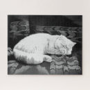 Search for persian puzzles White cat