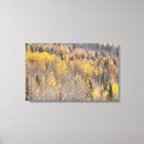 Search for colorful fall art Nature photography
