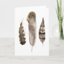 Search for feathered cards Nature