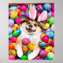 Search for easter posters Funny