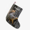 Search for squirrel christmas stockings Nature