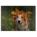 Search for dog cookware Autumn