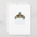 Search for tortoise stuff invitations Turtle
