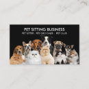 Search for black cat business cards Pet