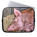 Search for hog laptop cases Cute