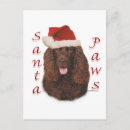 Search for irish christmas cards Dog