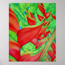 Search for heliconia posters Hawaii