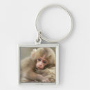 Search for monkey at baby key rings Macaque