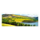 Search for moore art Landscape