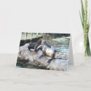 Search for group cards Animals