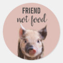 Search for cute vegan stickers Pig