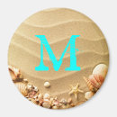 Search for florida shells magnets Sand