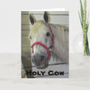 Search for fillies cards Pony