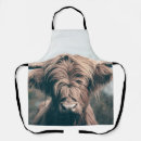Search for horned aprons Cattle