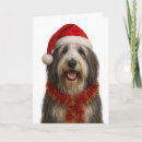 Search for beard christmas cards Collie