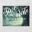 Search for oak tree save the dates Twinkle lights