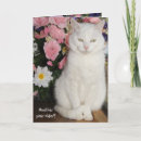 Search for female birthday cards cute