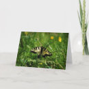 Search for spring equinox cards Nature