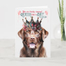 Search for chocolate lab birthday cards Dogs